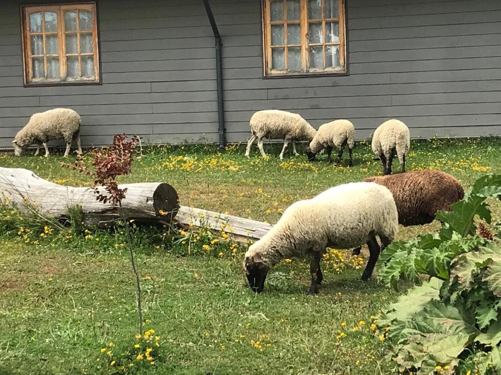 Parque La Pajarera Otel Puerto Varas Dış mekan fotoğraf