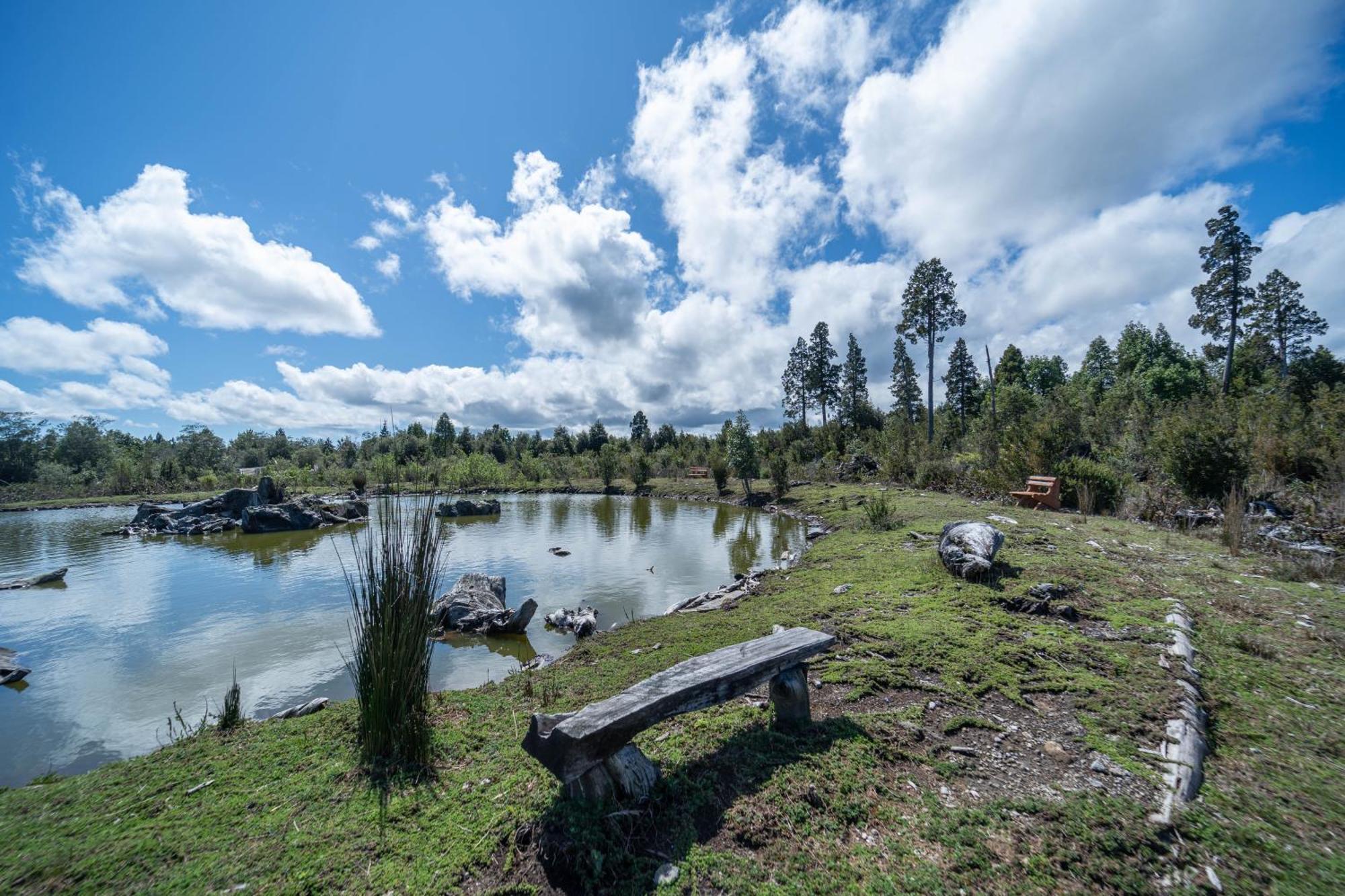 Parque La Pajarera Otel Puerto Varas Dış mekan fotoğraf
